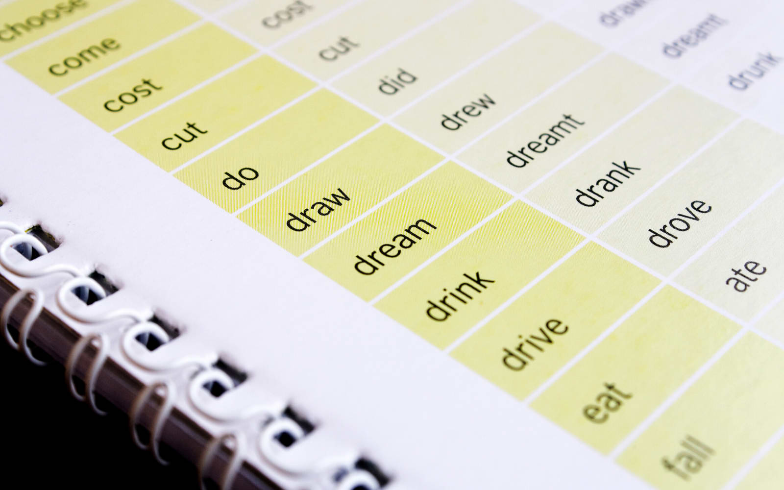 A list of vocabulary shown, alphabetically.